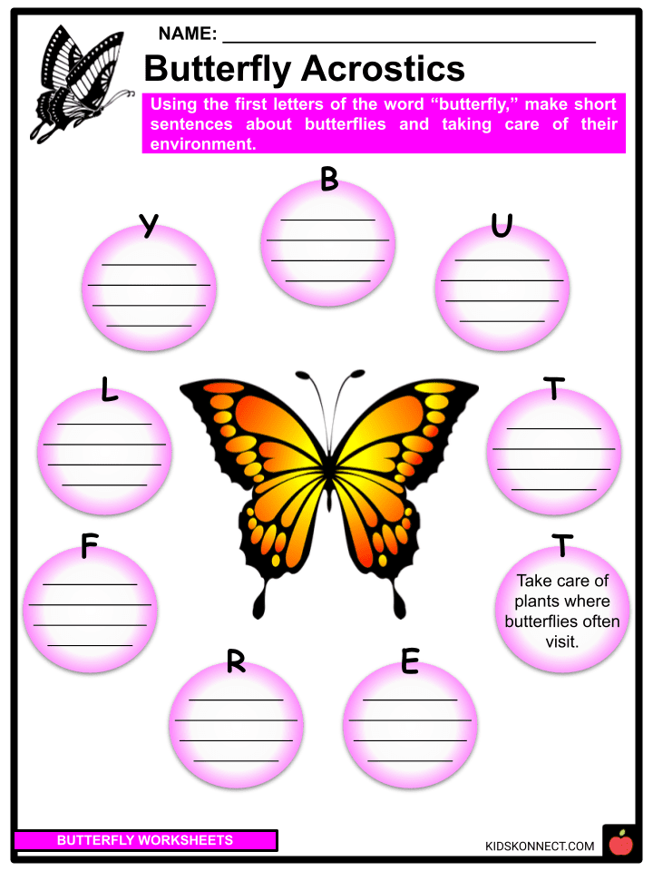 butterfly Part Of A Butterfly Worksheet