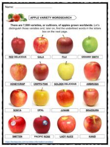 Apple Facts, Nutrition, Uses & Cultivation, Worksheets For Kids