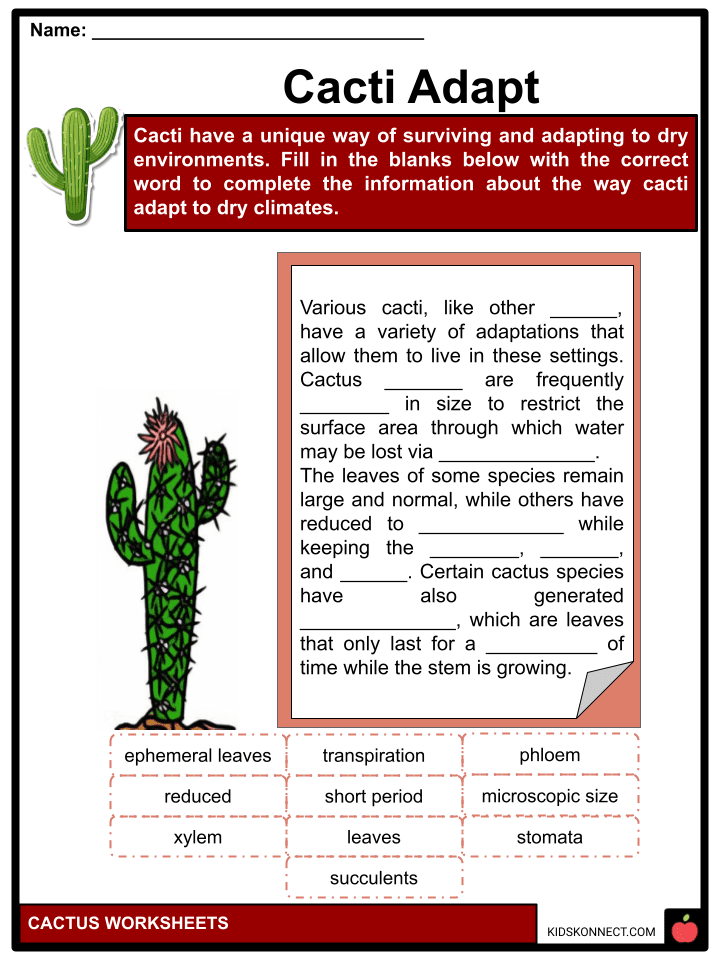 Cactus Facts & Worksheets for Kids | KidsKonnect