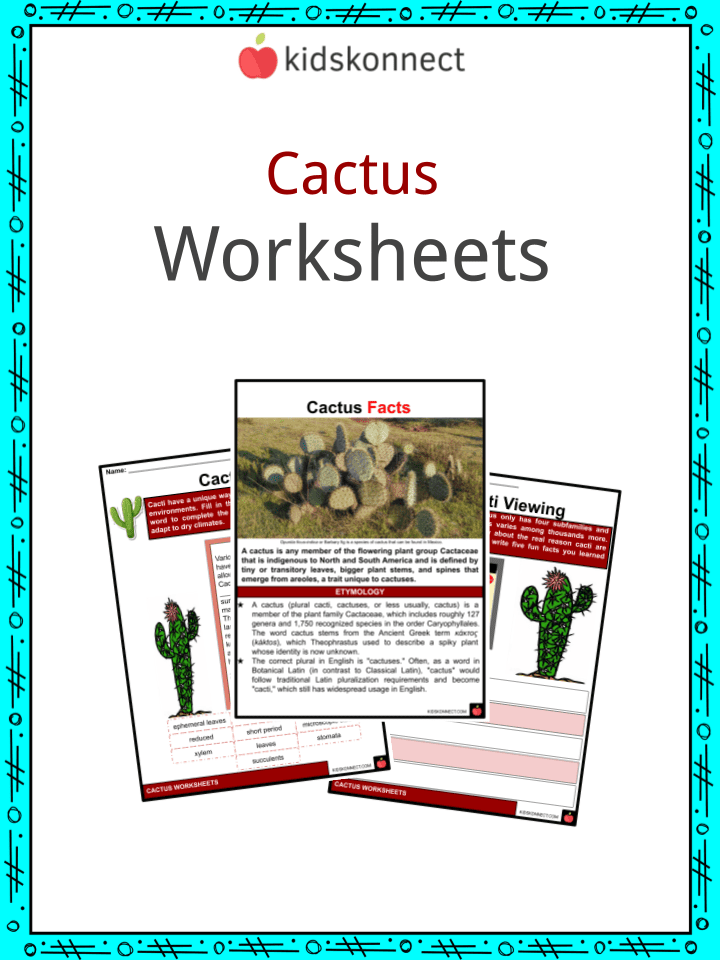 Cactus Facts & Worksheets for Kids | KidsKonnect